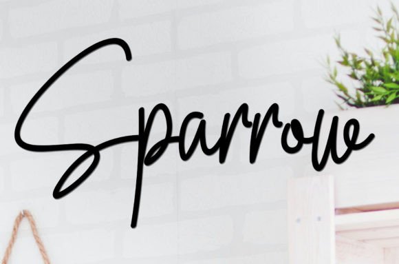 Why I Chose Sparrow for My Next Website Project